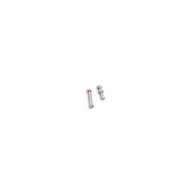 Severne Hinge and Lever Bolt Set