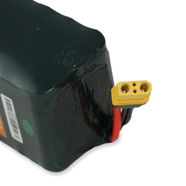 Foil Drive Batería Assist PLUS Standard 12.6Ah