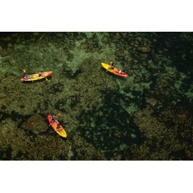 Tour Guiado Kayak 9:00 (kayak doble)