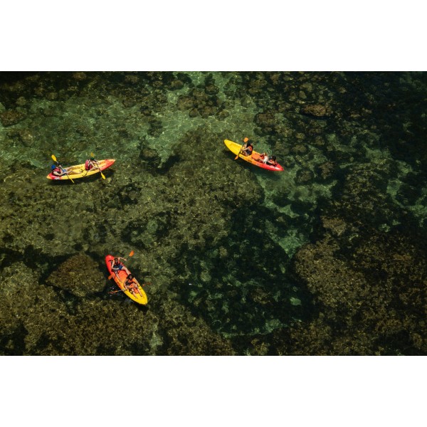 Tour Guiado Kayak 9:00 (kayak doble)