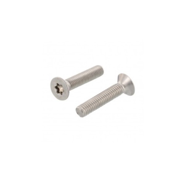 Tornillos Foil Torx M6