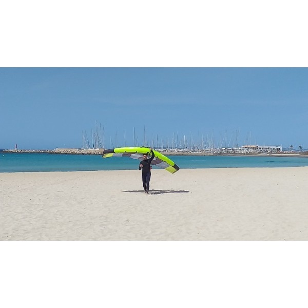 Curso Privado Wingsup