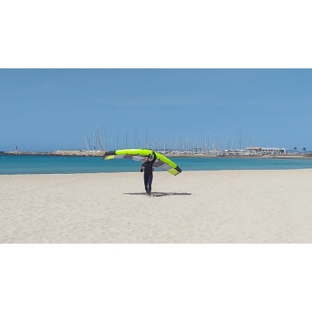 Curso Privado Wingsup